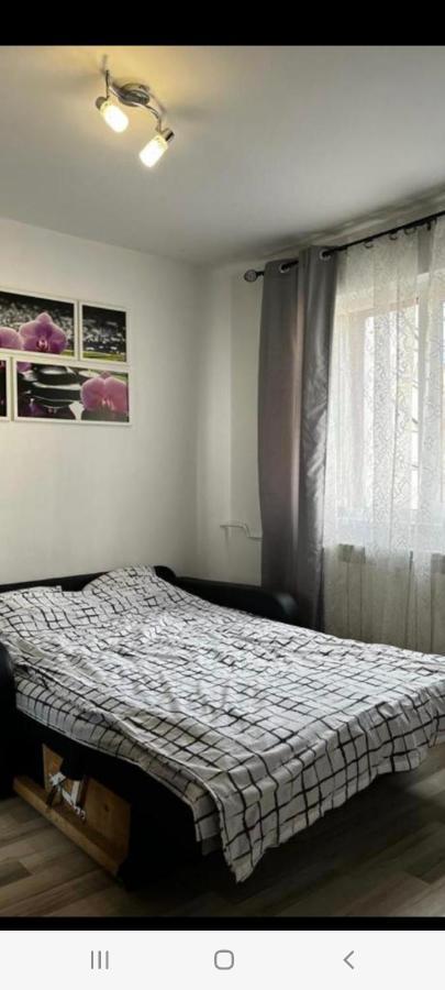 Zenapartment Braşov Extérieur photo